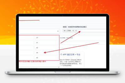 子比主题（Zibll）终极优化：文章 ID 跳号修复 + 自定义 ID（网格布局完美版）-饺子博客